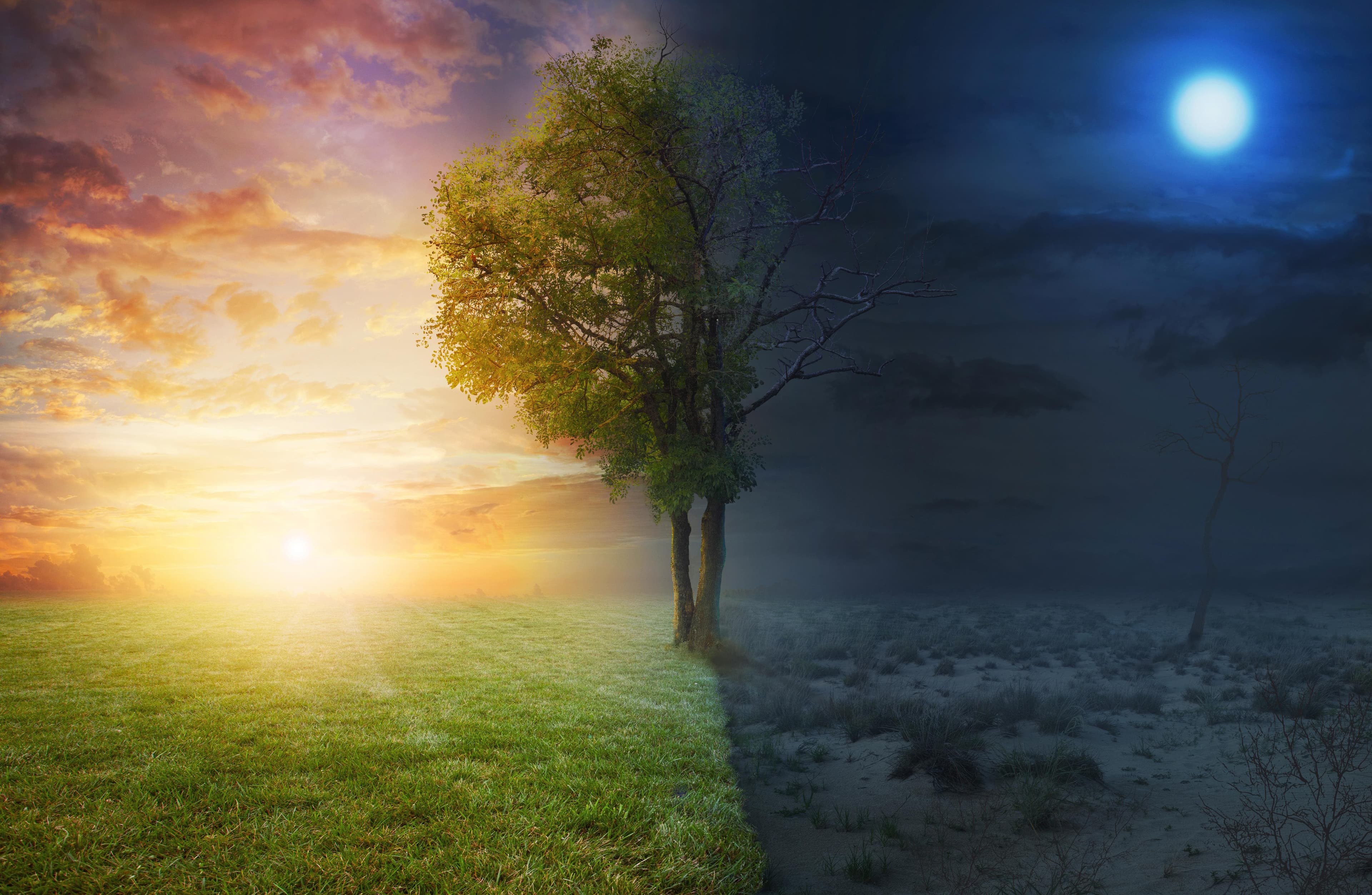 Day and Night