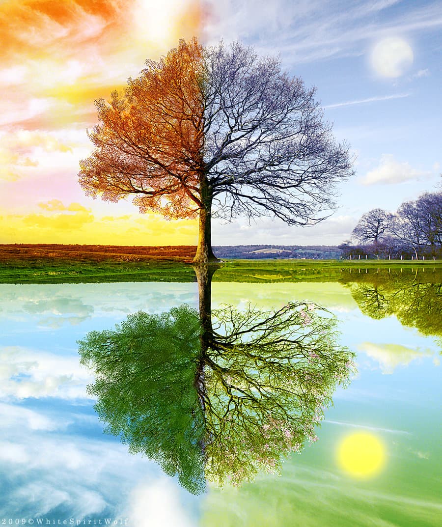 Seasons