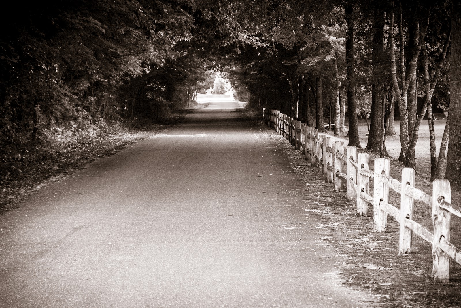 The Path